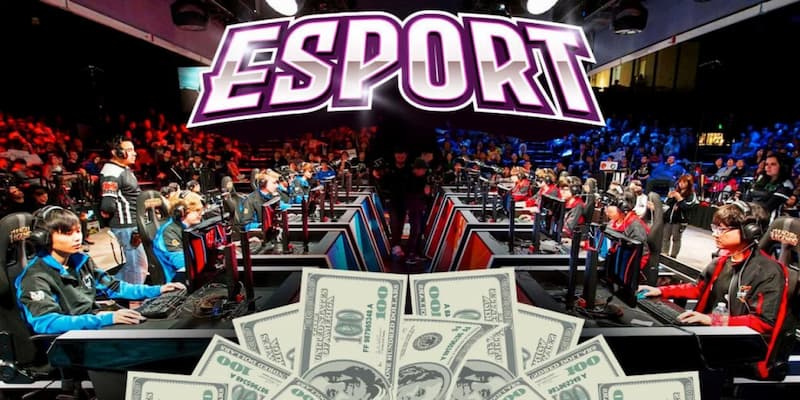 Net88 cược eSport hoàn trả 0.9%